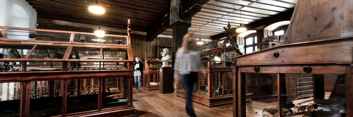 Das Bild zeigt die Räumlichkeiten des Rosgartenmuseums